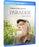 Paradise (MOD) (BluRay Movie) - movie cover art