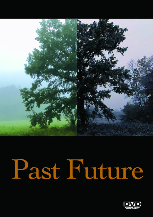 Past Future (MOD) (DVD Movie) - movie cover art
