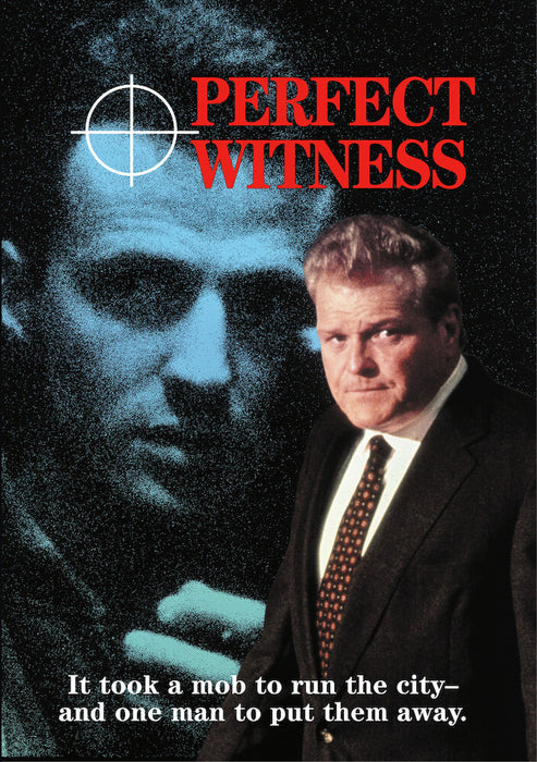 Perfect Witness (MOD) (DVD Movie) - movie cover art