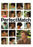 PerfectMatch (MOD) (DVD Movie) - movie cover art