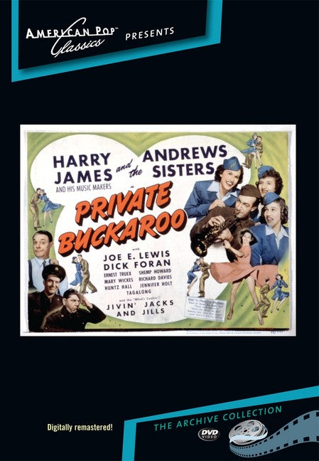 Private Buckaroo (MOD) (DVD Movie) - movie cover art