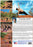 Progressive Power Yoga: Foundation (MOD) (DVD Movie) - back cover art