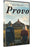 Provo (MOD) (DVD Movie) - movie cover art