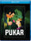 Pukar (MOD) (BluRay Movie) - movie cover art