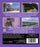 Purple Pie Place (MOD) (BluRay Movie) - back cover art