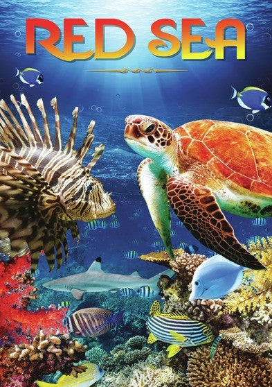 Red Sea (MOD) (DVD Movie) - movie cover art