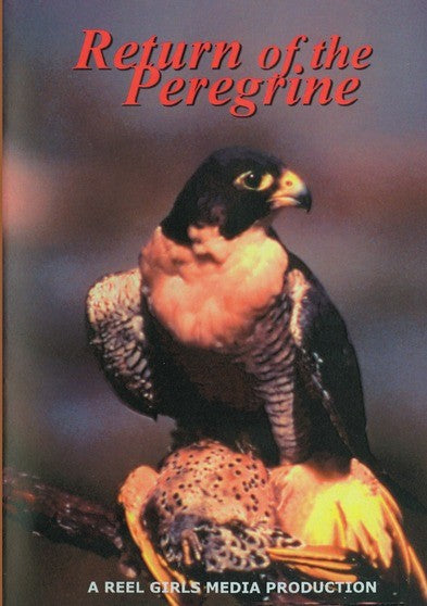 Return of the Peregrine (MOD) (DVD Movie) - movie cover art