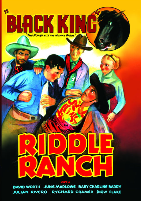 Riddle Ranch (MOD) (DVD MOVIE)
