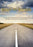 Road to Riches (MOD) (DVD Movie) - movie cover art