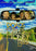 Roads, Trees and Honey Bees (MOD) (DVD Movie) - movie cover art