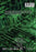 Robot Girls (MOD) (DVD Movie) - back cover art