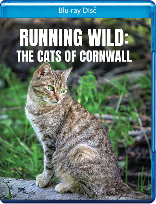 Running Wild: The Cats of Cornwall (MOD) (BluRay Movie) - movie cover art