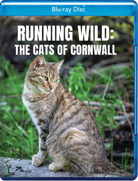 Running Wild: The Cats of Cornwall (MOD) (BluRay Movie) - movie cover art
