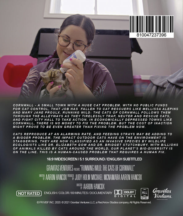 Running Wild: The Cats of Cornwall (MOD) (BluRay Movie) - back cover art