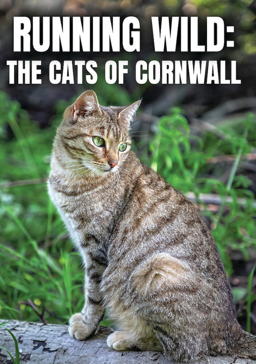 Running Wild: The Cats of Cornwall (MOD) (DVD Movie) - movie cover art