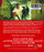 Sam & Mattie Make a Zombie Movie (MOD) (BluRay Movie) - back cover art