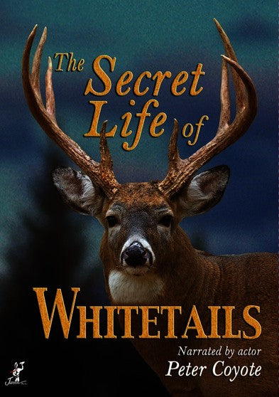 Secret Life of Whitetails, The (MOD) (DVD Movie) - movie cover art