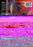 Sexy Battle Girls (MOD) (DVD Movie) - back cover art