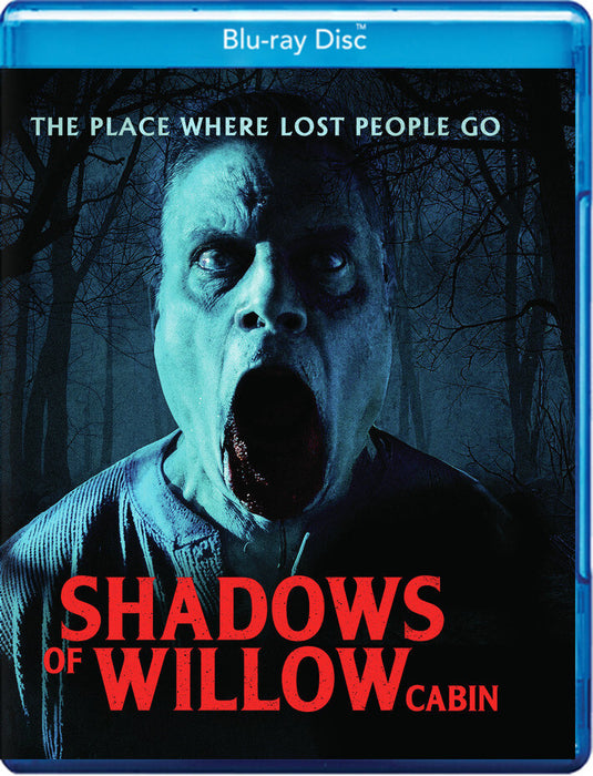 Shadows of Willow Cabin (MOD) (BluRay Movie) - movie cover art