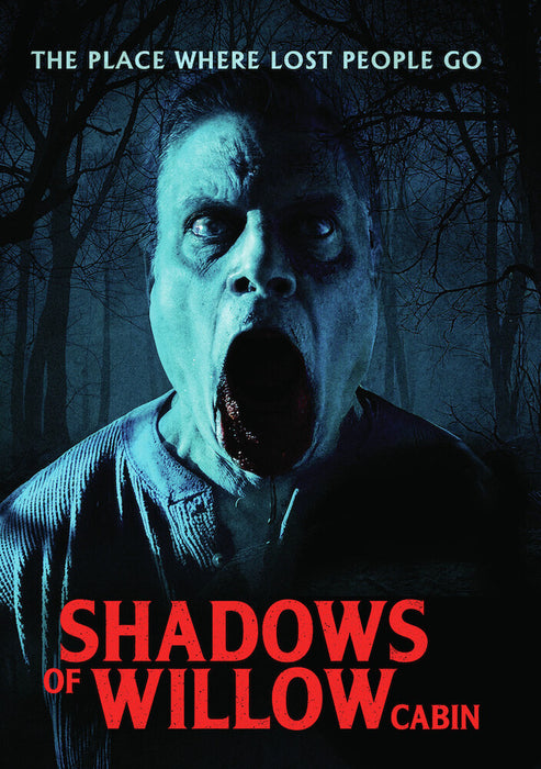 Shadows of Willow Cabin (MOD) (DVD Movie) - movie cover art