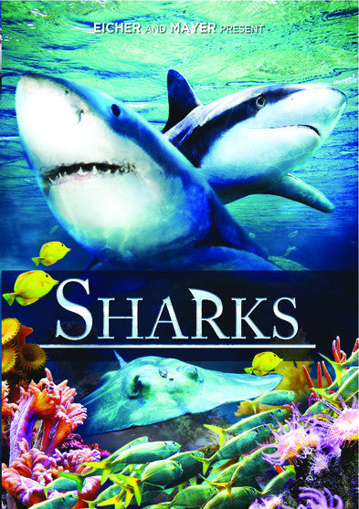 Sharks (MOD) (DVD Movie) - movie cover art