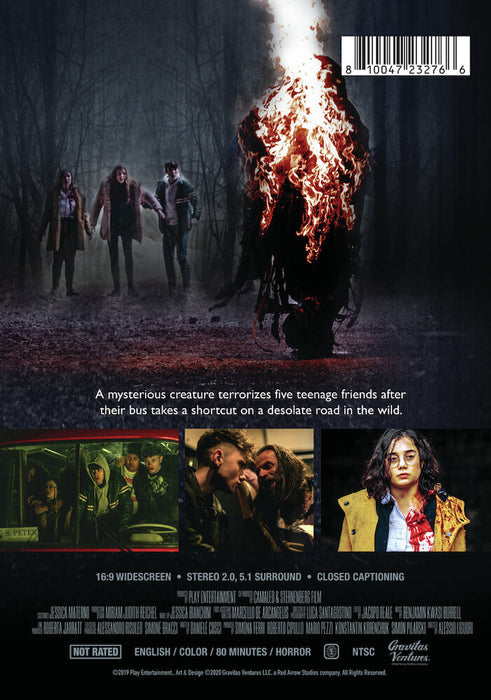 Shortcut (MOD) (DVD Movie) - back cover art