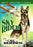 Silent Adventure Classics: The Sky Rider (1928) / The Call of the Wild (MOD) (DVD MOVIE)