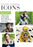 Silver Screen Icons: Sci-Fi (MOD) (DVD Movie) - movie cover art