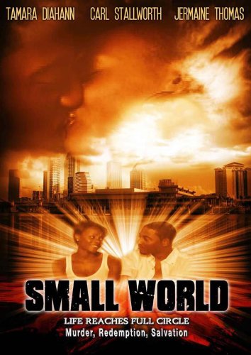 Small World DVD - movie cover art