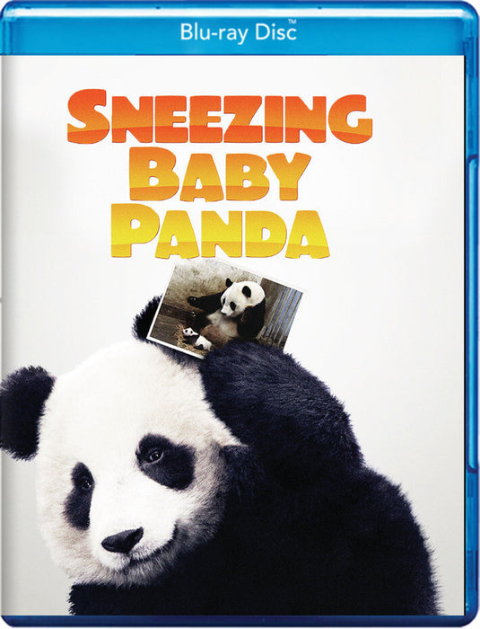 Sneezing Baby Panda (MOD) (BluRay Movie) - movie cover art