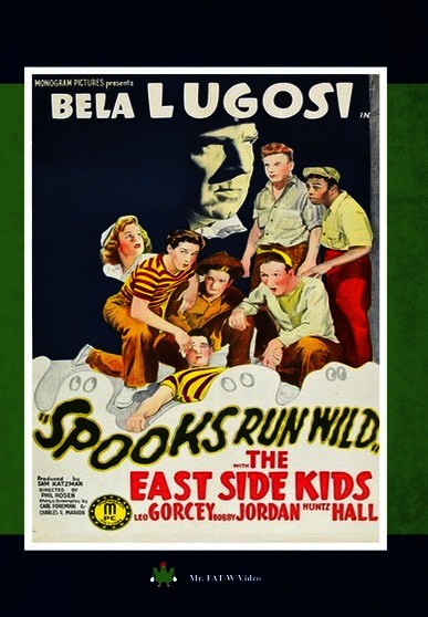 Spooks Run Wild (MOD) (DVD Movie) - movie cover art