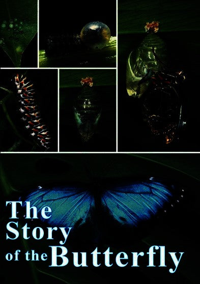 Story of the Butterfly, The (MOD) (DVD Movie) - movie cover art