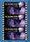 THE MACHINE STOPS (MOD) (DVD Movie) - movie cover art