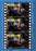 THIS BODY IS MINE (MOD) (DVD Movie) - movie cover art