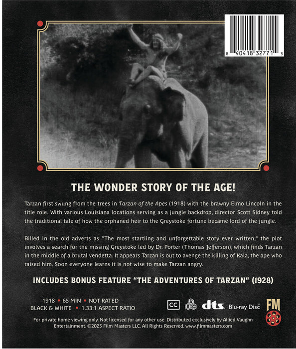 Tarzan of the Apes (1918) (MOD) (BluRay Movie) - back cover art