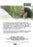 Tender Days (MOD) (DVD Movie) - back cover art