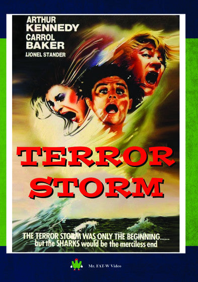 Terror Storm (MOD) (DVD Movie) - movie cover art