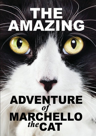 The Amazying Adventure of Marchello The Cat (MOD) (DVD Movie) - movie cover art