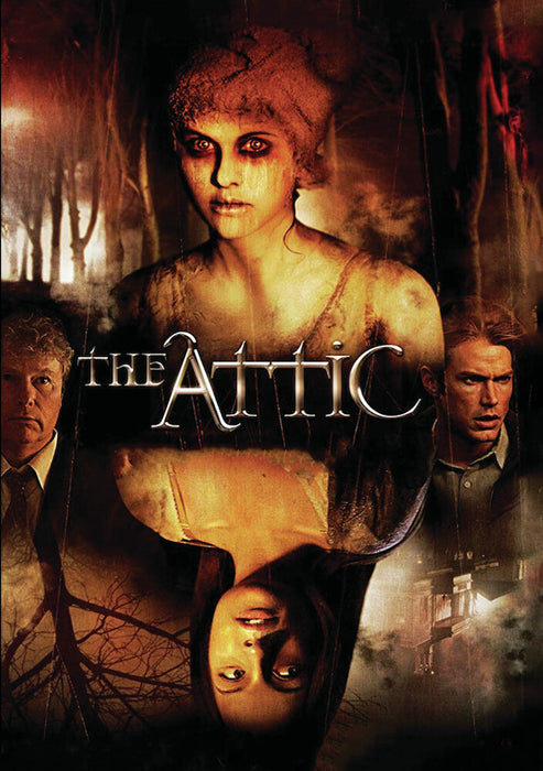 The Attic (MOD) (DVD Movie) - movie cover art