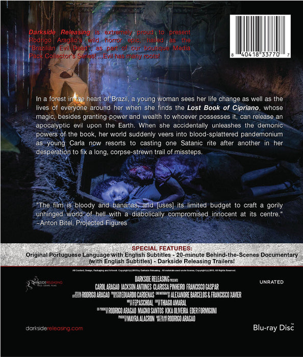 The Black Forest (A Mata Negra) (MOD) (BluRay Movie) - back cover art