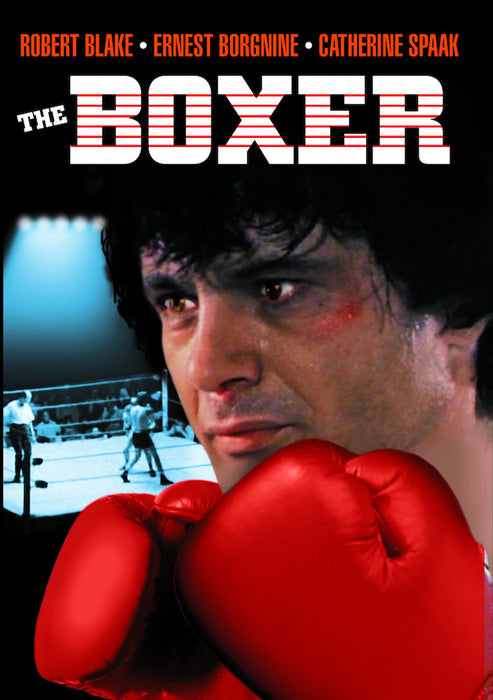 The Boxer (MOD) (DVD MOVIE)