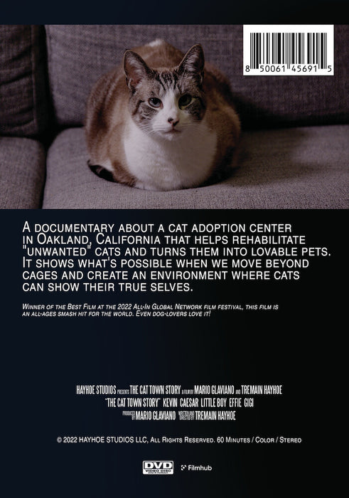 The Cat Town Story (MOD) (DVD Movie) - back cover art