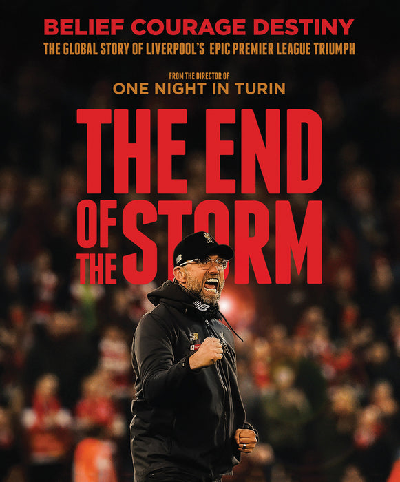 The End of the Storm (MOD) (BluRay Movie) - movie cover art