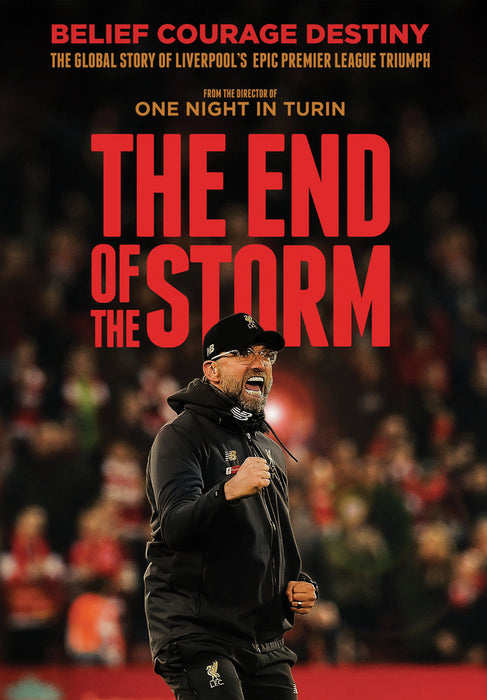 The End of the Storm (MOD) (DVD Movie) - movie cover art