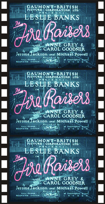 The Fire Raisers (MOD) (DVD Movie) - movie cover art