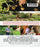 The Food Cure (MOD) (BluRay Movie) - back cover art