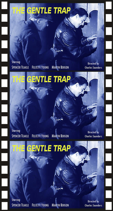 The Gentle Trap Anamorphic Widescreen (MOD) (DVD Movie) - movie cover art
