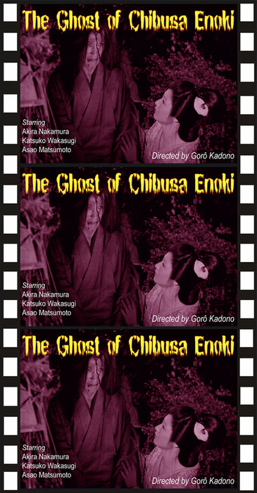 The Ghost of Chibusa Enoki (MOD) (DVD Movie) - movie cover art