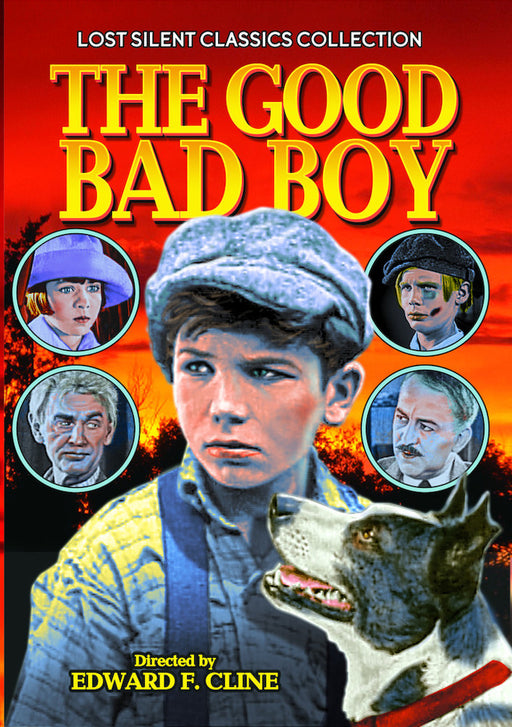 The Good Bad Boy (Silent) (MOD) (DVD MOVIE) - movie cover art