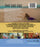 The Great Nick D (MOD) (BluRay Movie) - back cover art